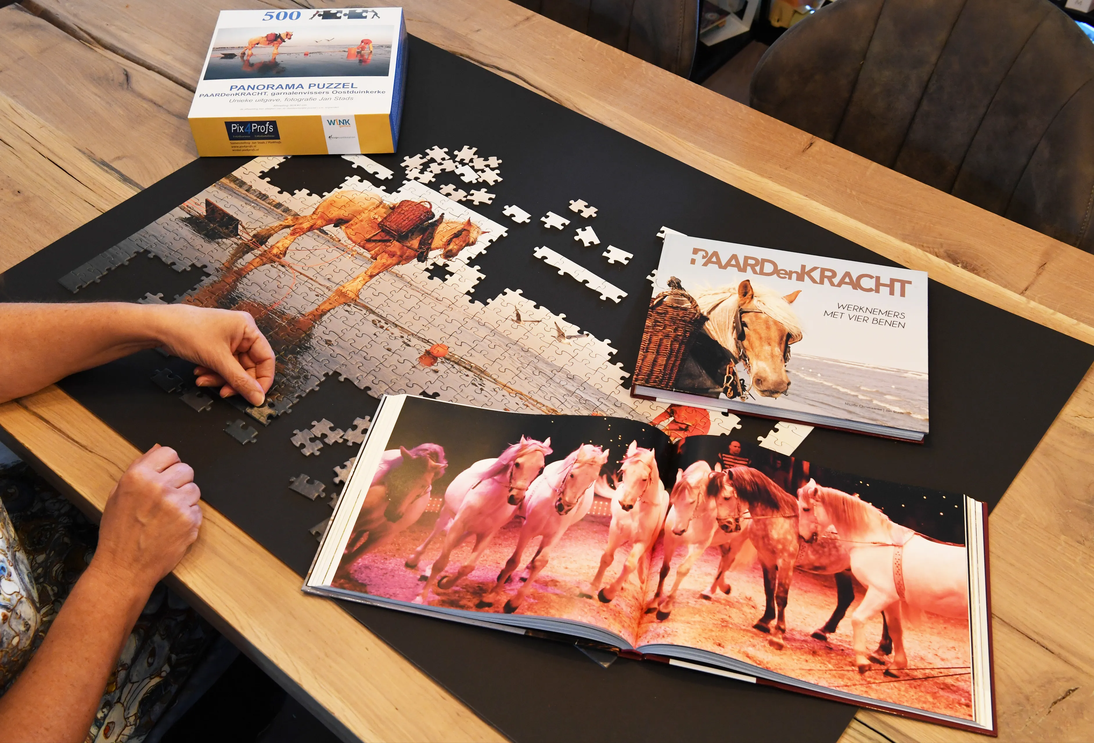 69695 20221020 legpuzzel paardenkracht jst5159 5463x3712