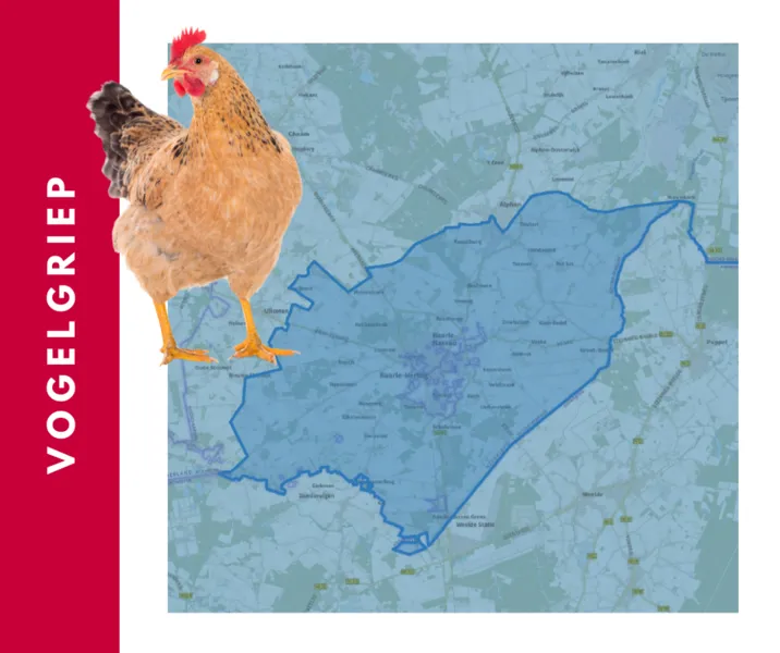 csm ac vogelgriep ce736305e9