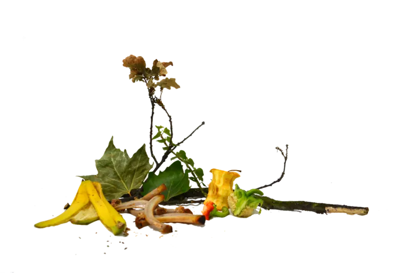 csm afval groenbak 345a3e5c71