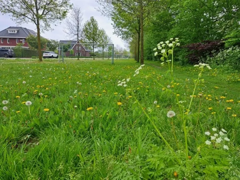 csm alphen cb5c8c9a05