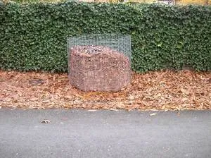 csm bladkorf bn aa3d8e2137