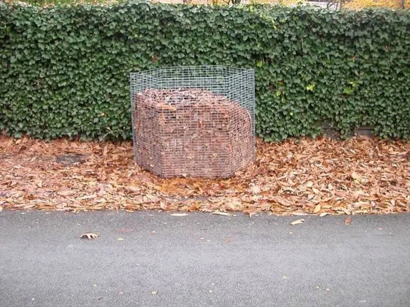 csm bladkorven 80ffcf28d2