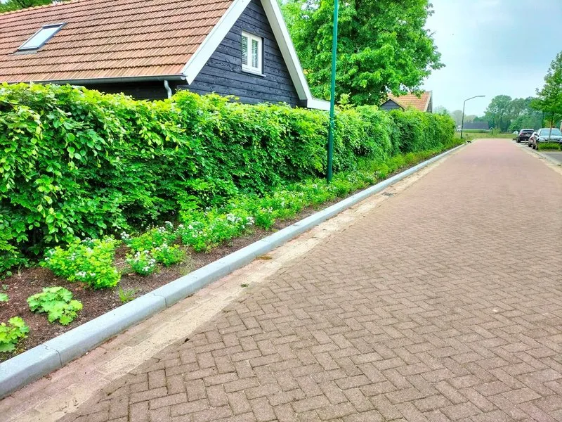 csm de peel1 aca77fa8bc