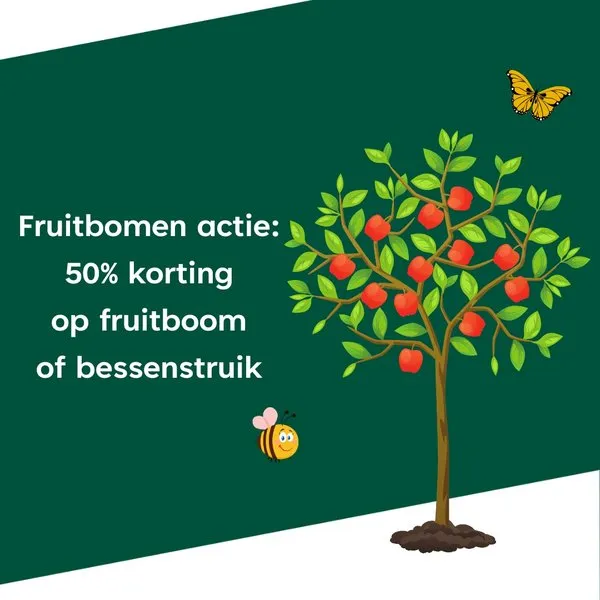 csm fruitbomen actie ac 98ef504062