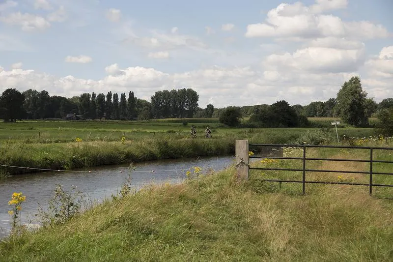 csm markdal 1b86a2a1ca