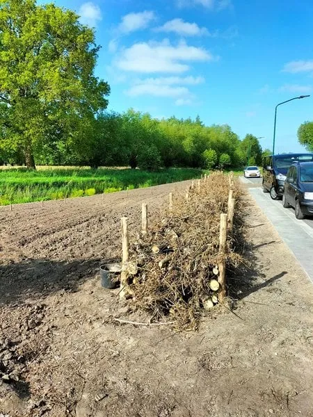 csm natuurgebied altena chaam 1 9f49f3f8ca