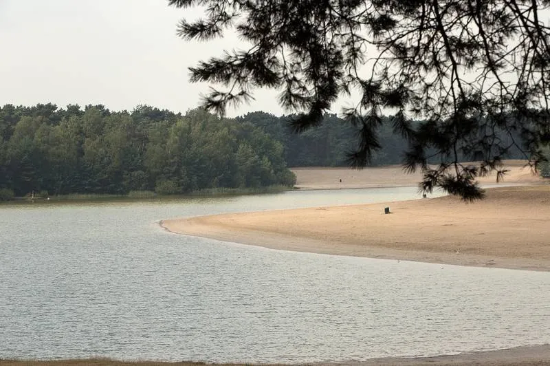 csm tzand e5a52034a4