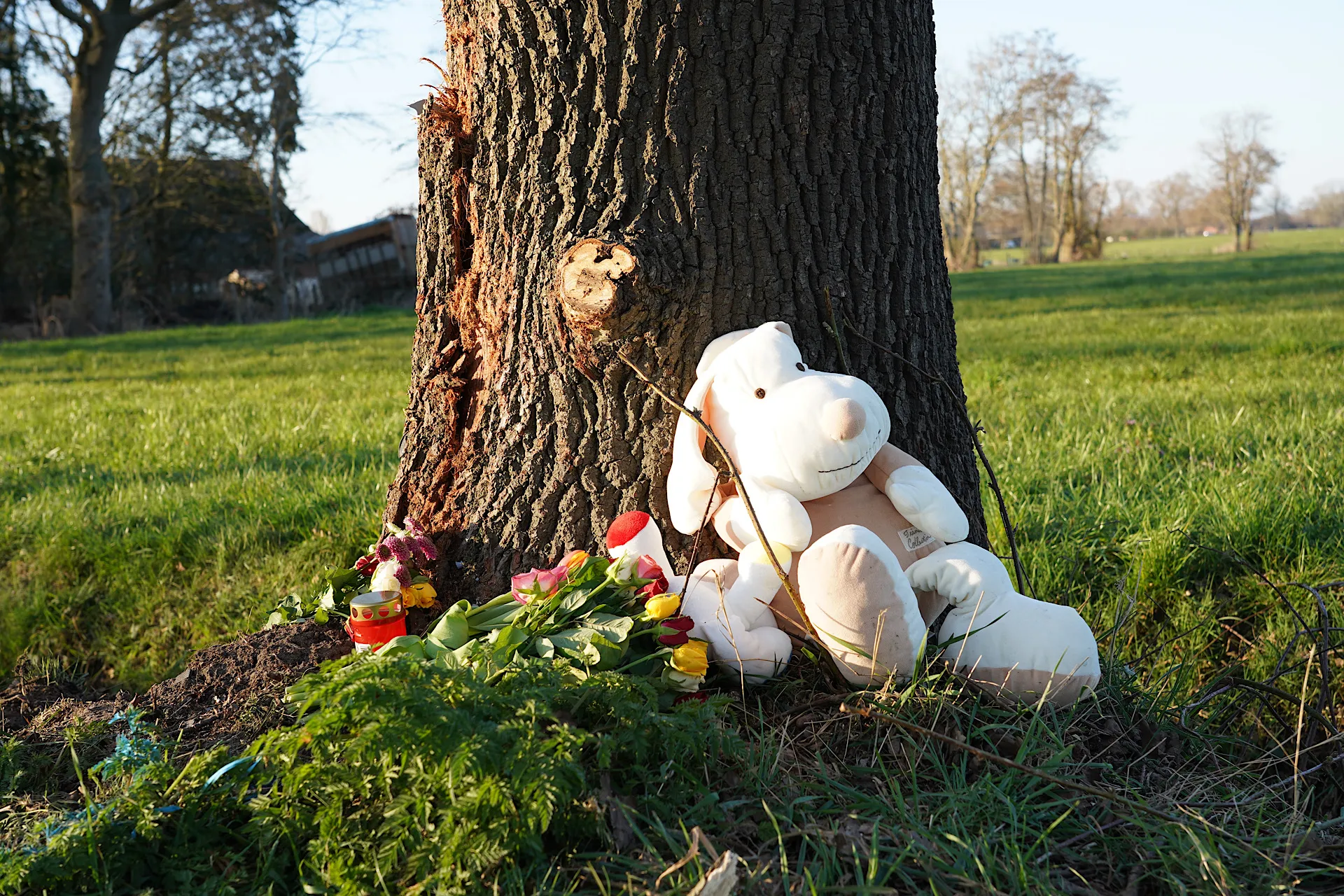 jeroen stuve 20220327172401 1