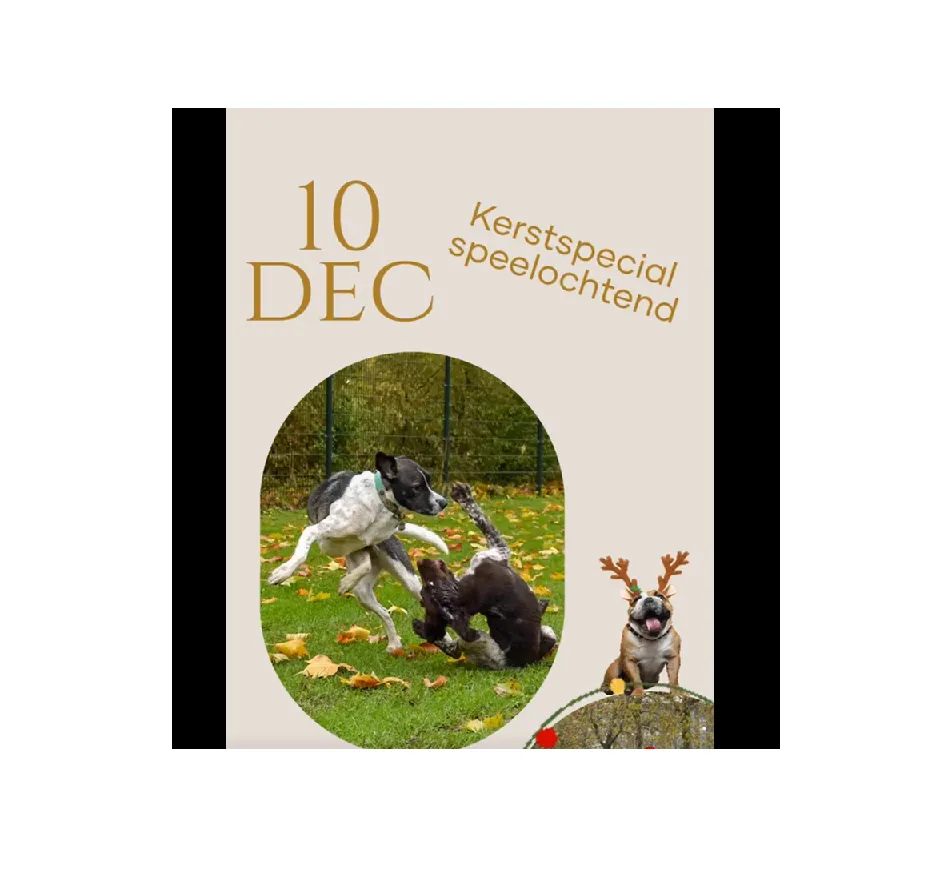 naamloos 1 e1670267318343