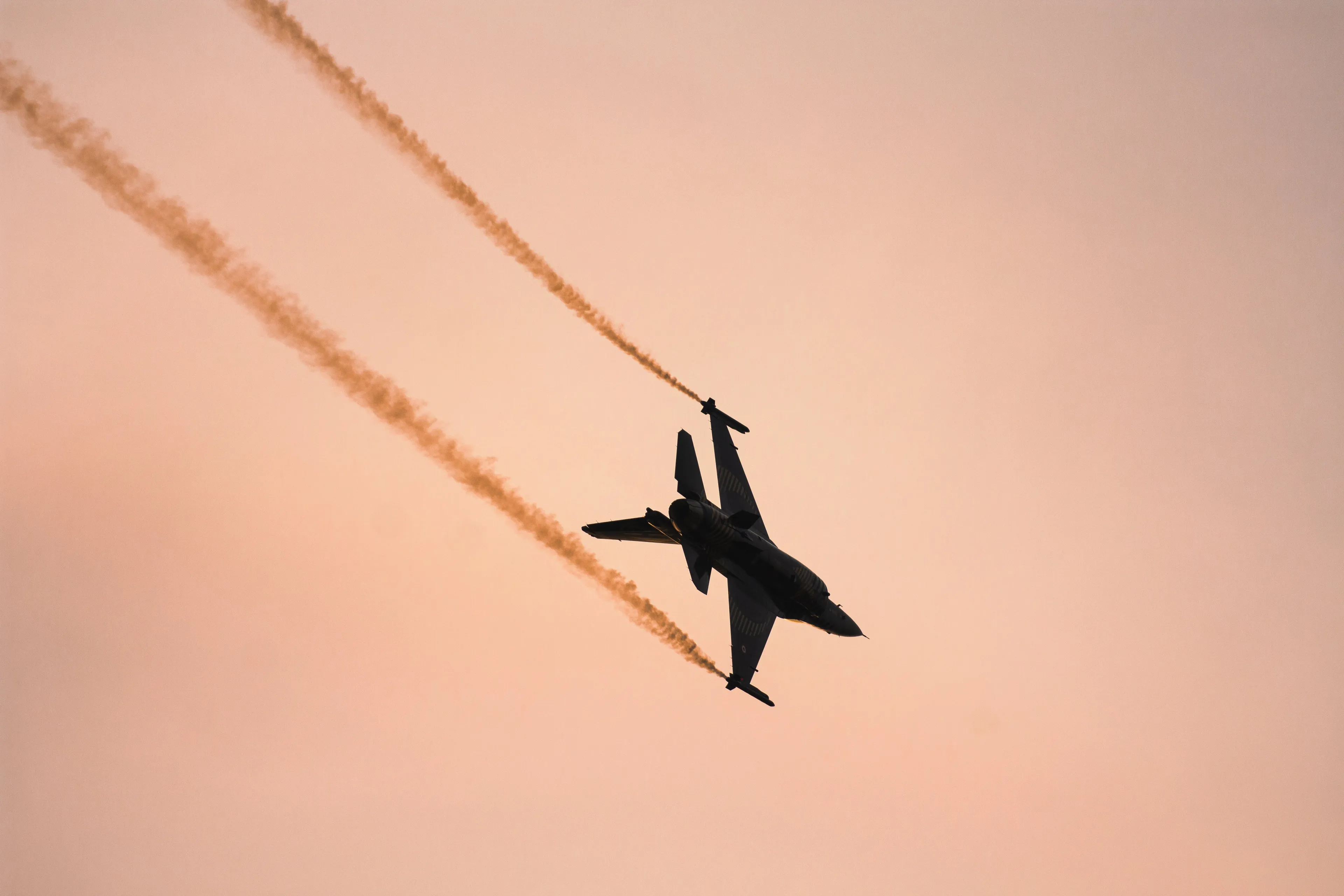 pexels umut dagli 18903555