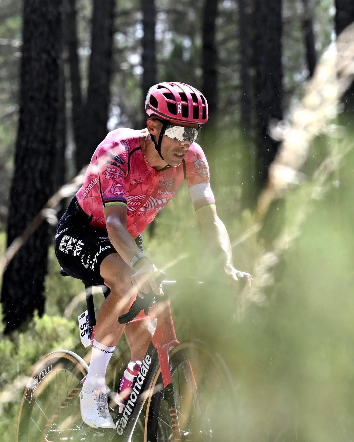 529287141_1345906734209202_629491467756576976_n