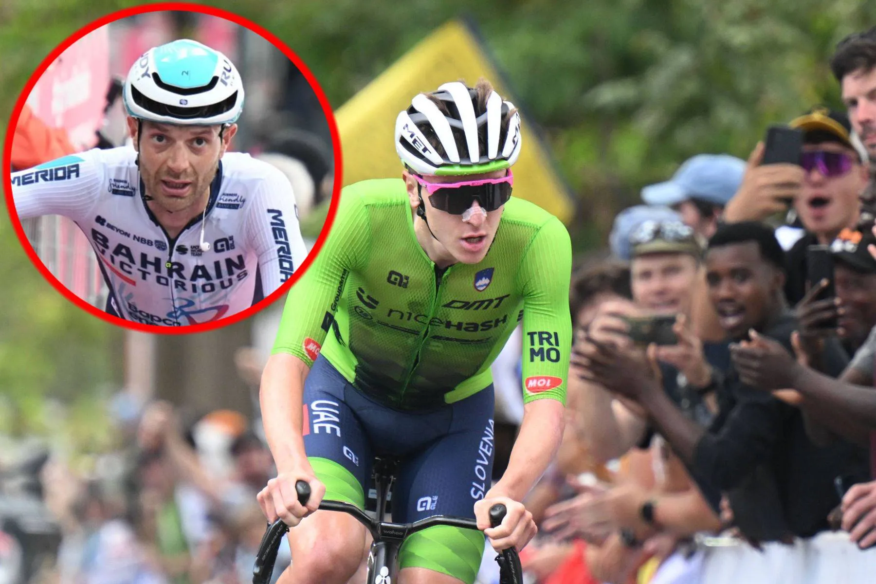 Tadej Pogacar who ruled the 2025 cycling season, and Bahrain - Victorious' Damiano Caruso