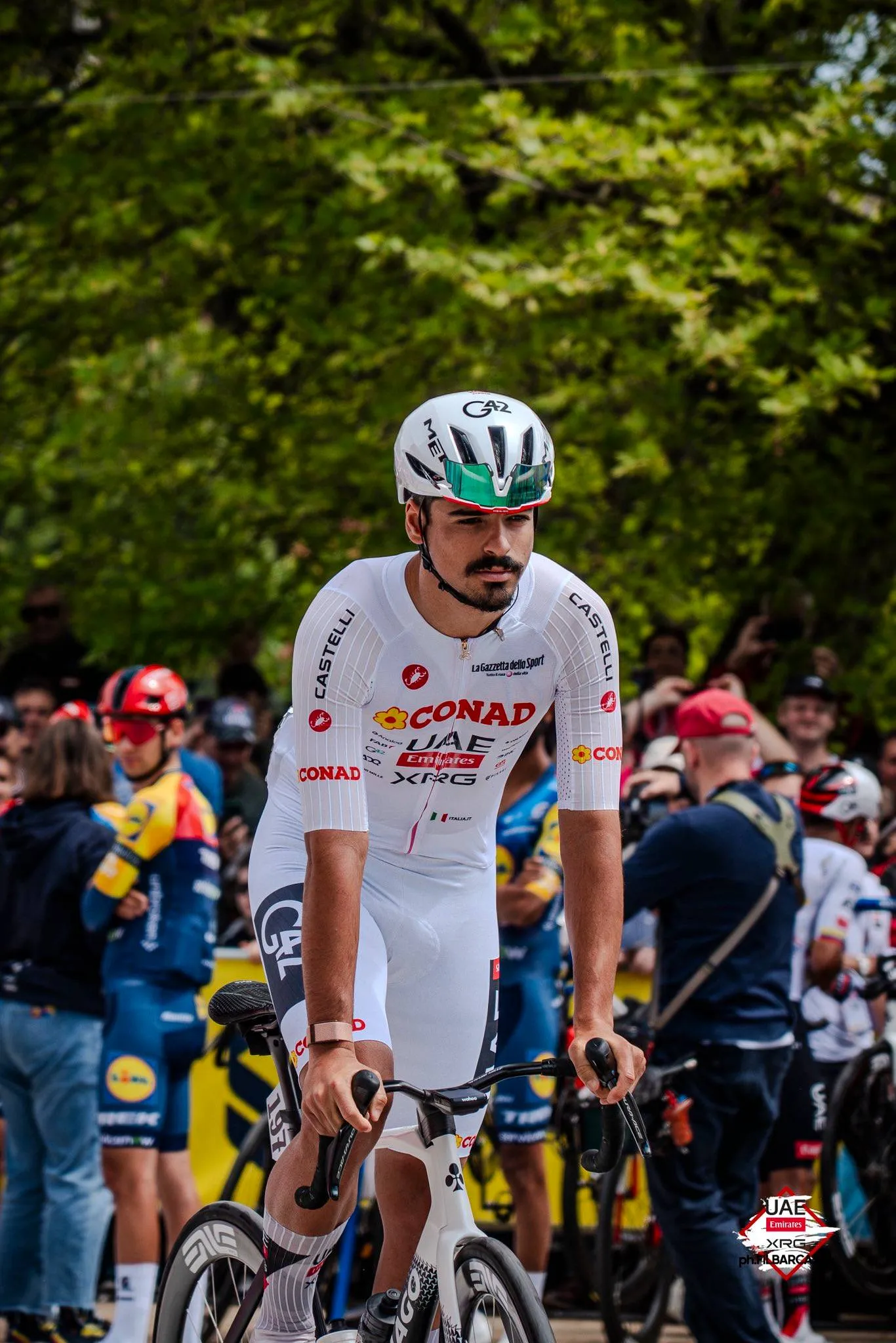 antonio morgado