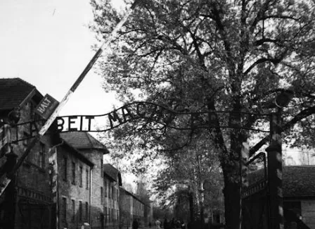 Schermafbeelding 2025-12-11 181508