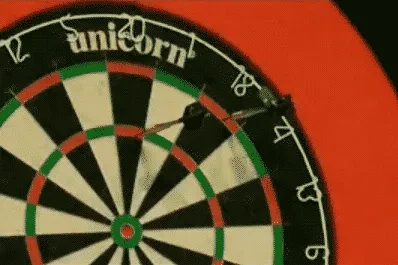 9 darter