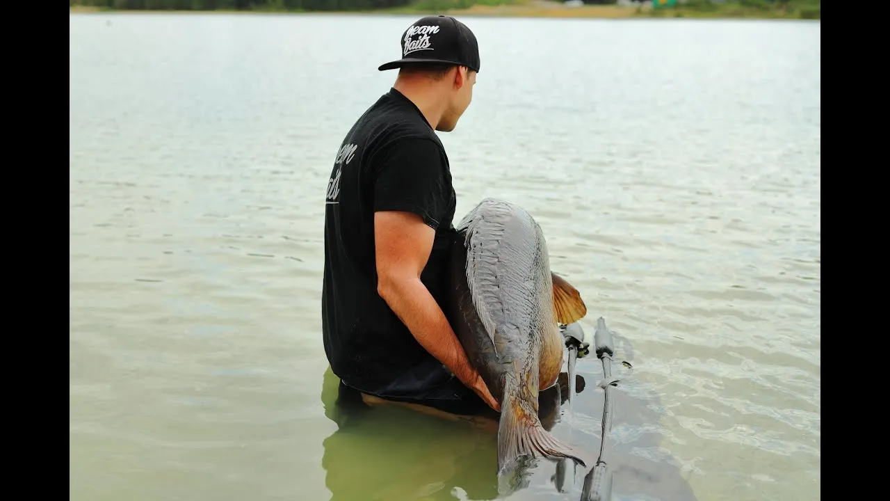 Mario Gijbels Mohikaan Dreambaits