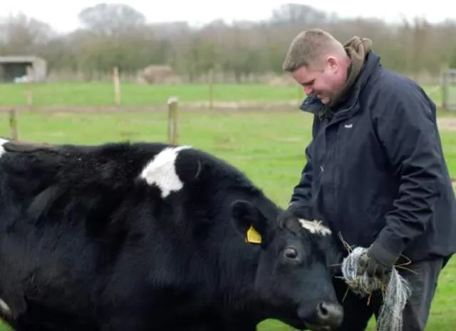 Screenshot 2019 01 08 at 183259