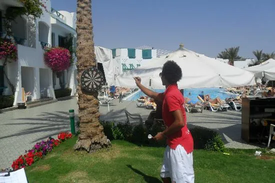 darts sun