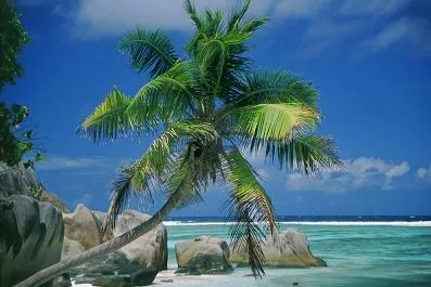 vakantie