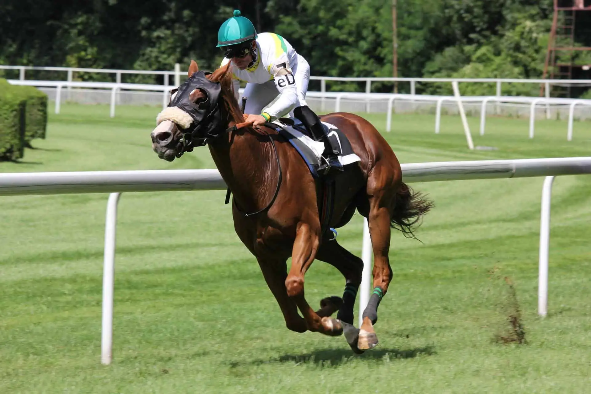 action athlete competition 158976