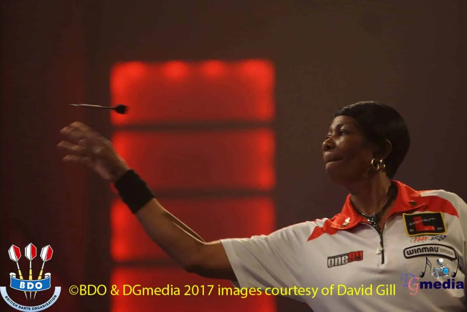 DateHedman2017DavidGill