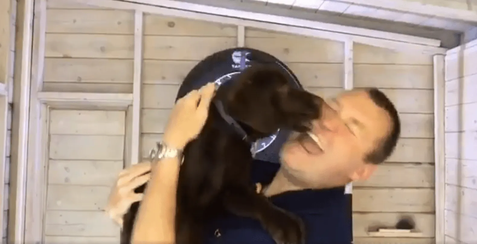 Wayne Mardle hond e1507060490890