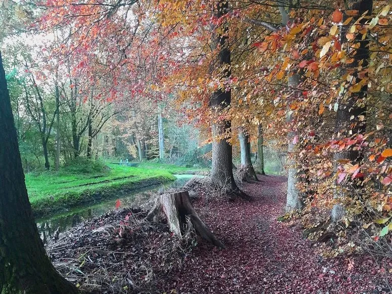 0901 opstap kraaiebos nieuw 2