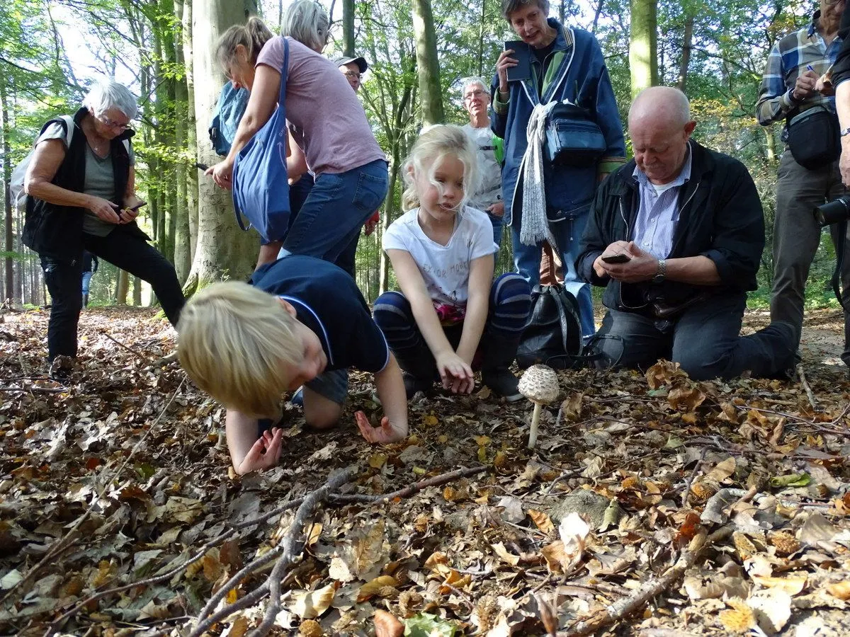 2 dsc00430 zit er ook een kaboutertje onder de knolparasolzwam