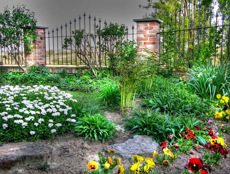 a magic garden