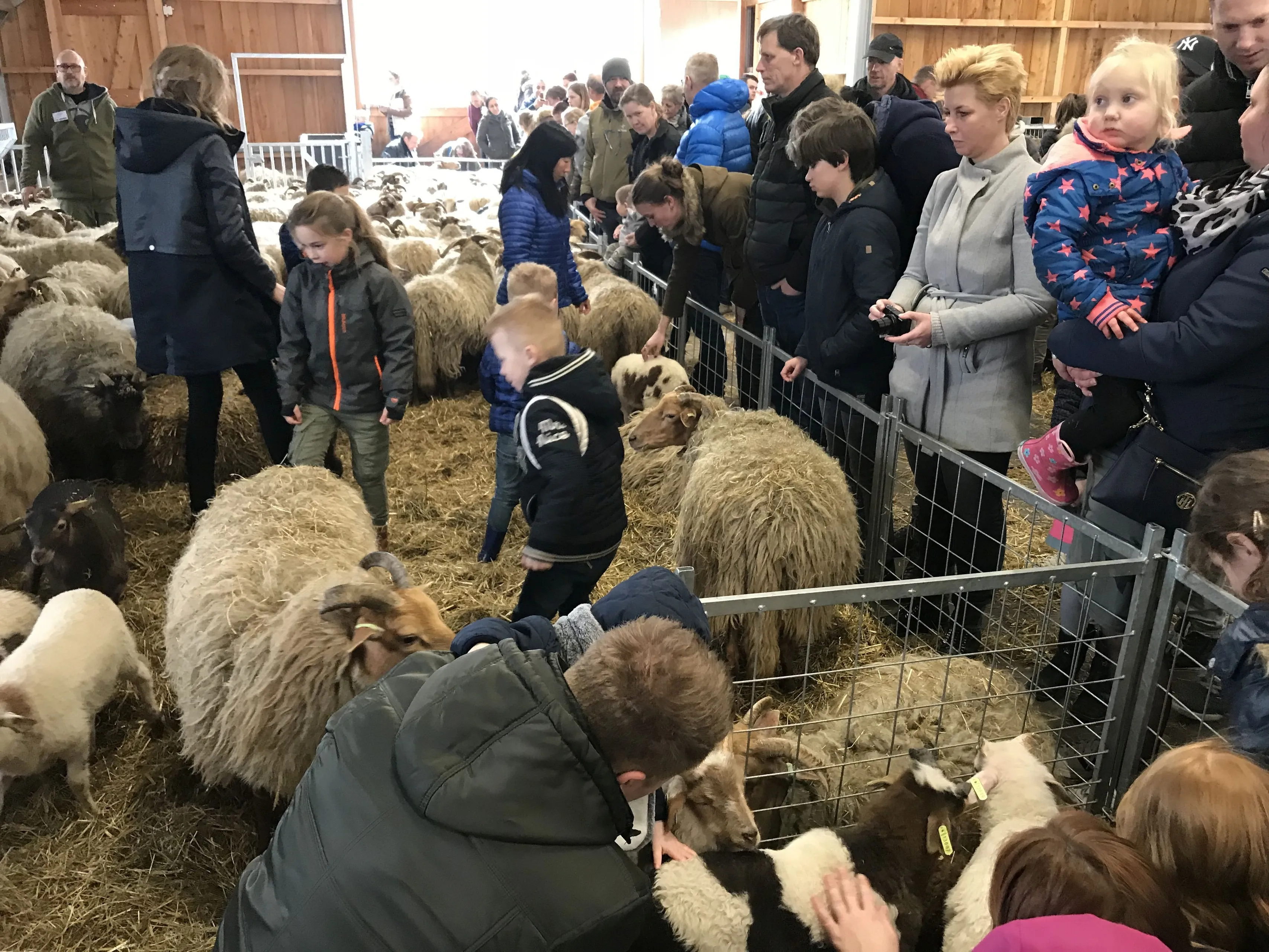 apr pn02042018 lammetjesdag ruinen2