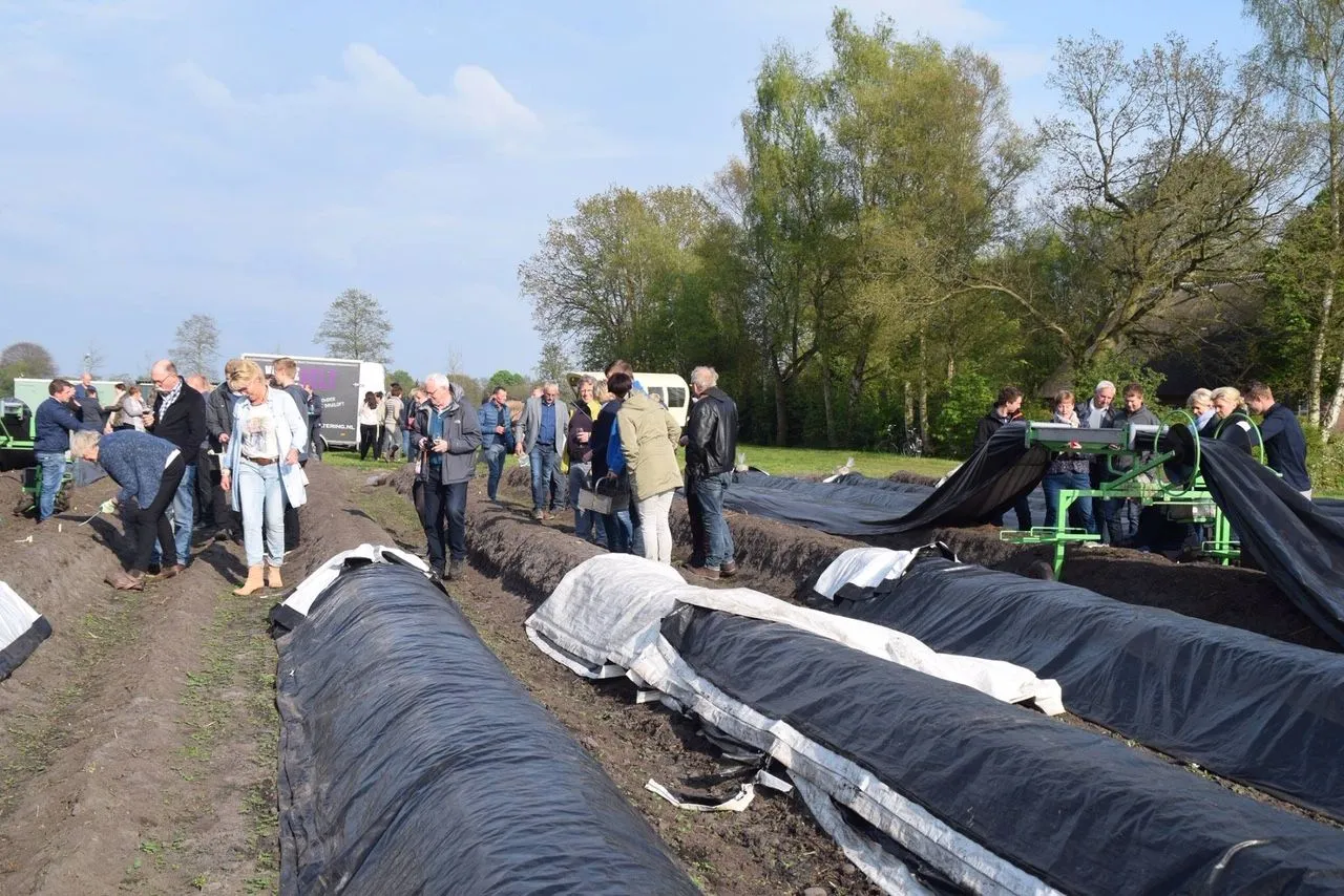asperge oogstfeest2