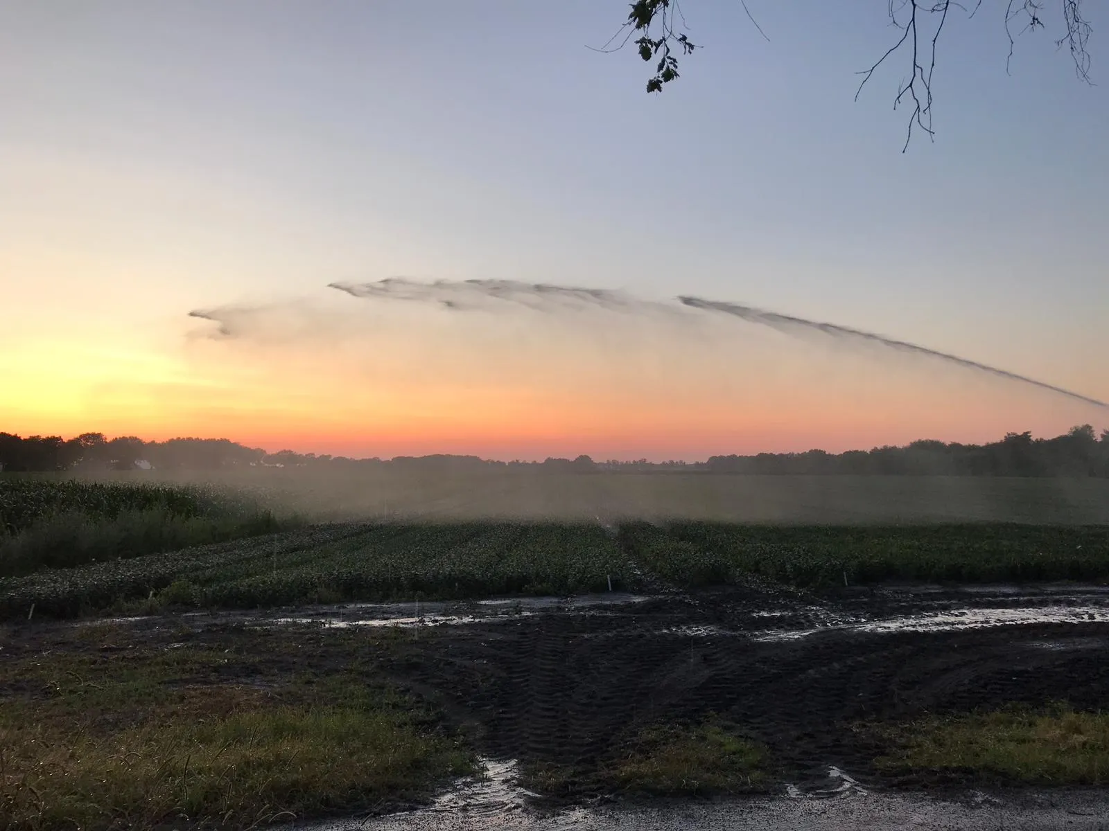 beregenen in de avond 2