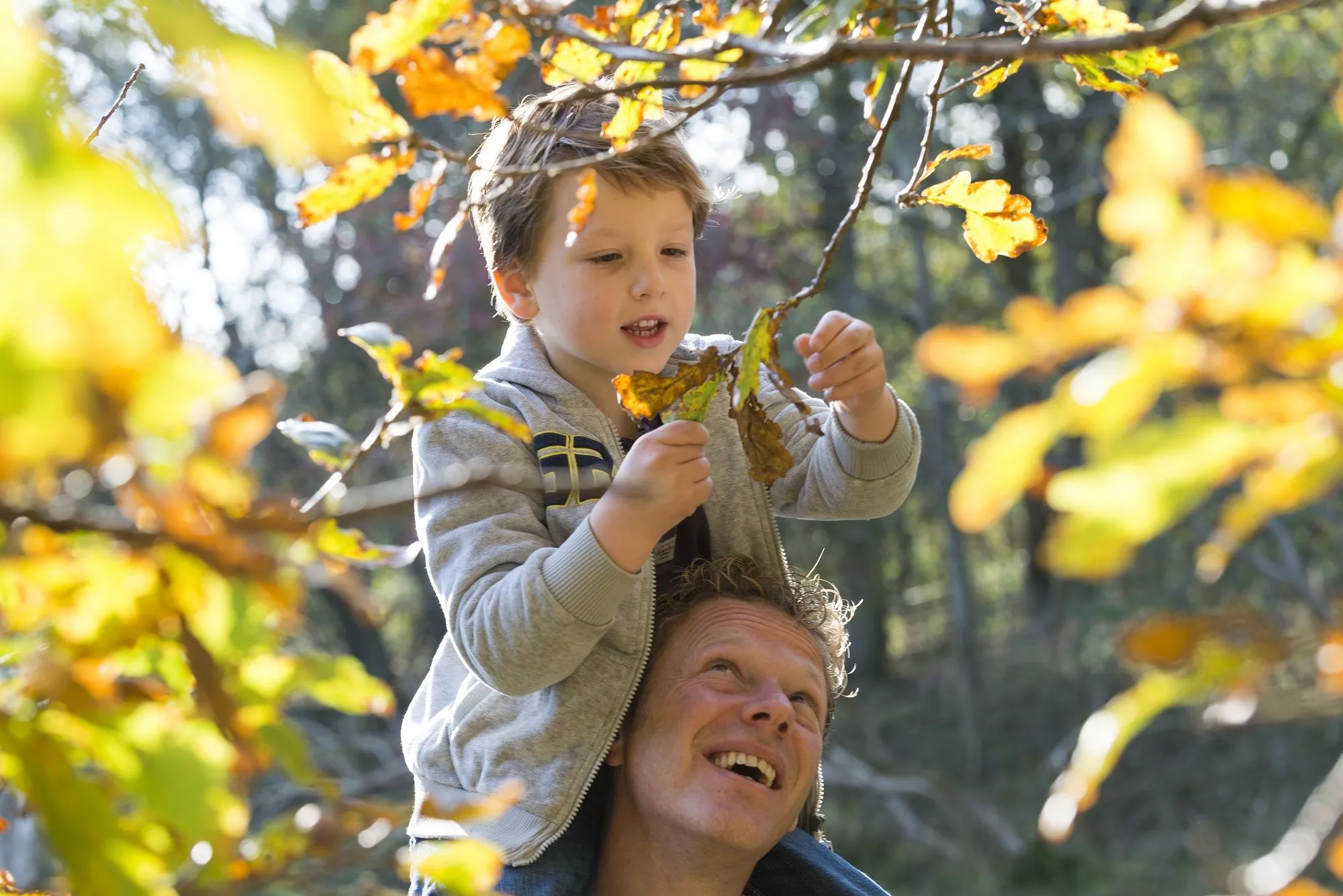 bezoekerscentrum dwingelderveld vader met kind