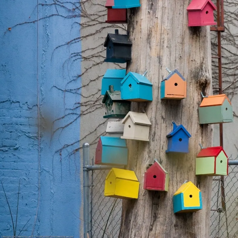 bird houses 20071230 10d 46705 sml