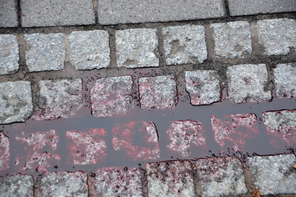 blood 1221104 960 720