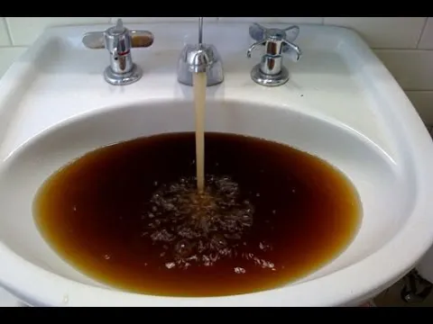 bruin water