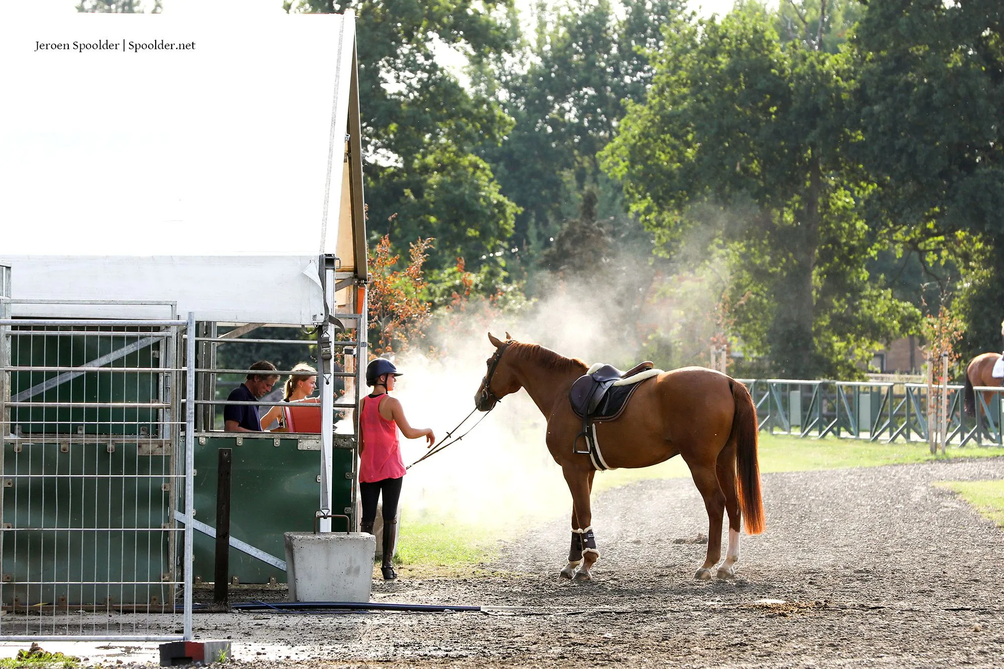 ch warmte vernevelaar paard sdn 30882 002