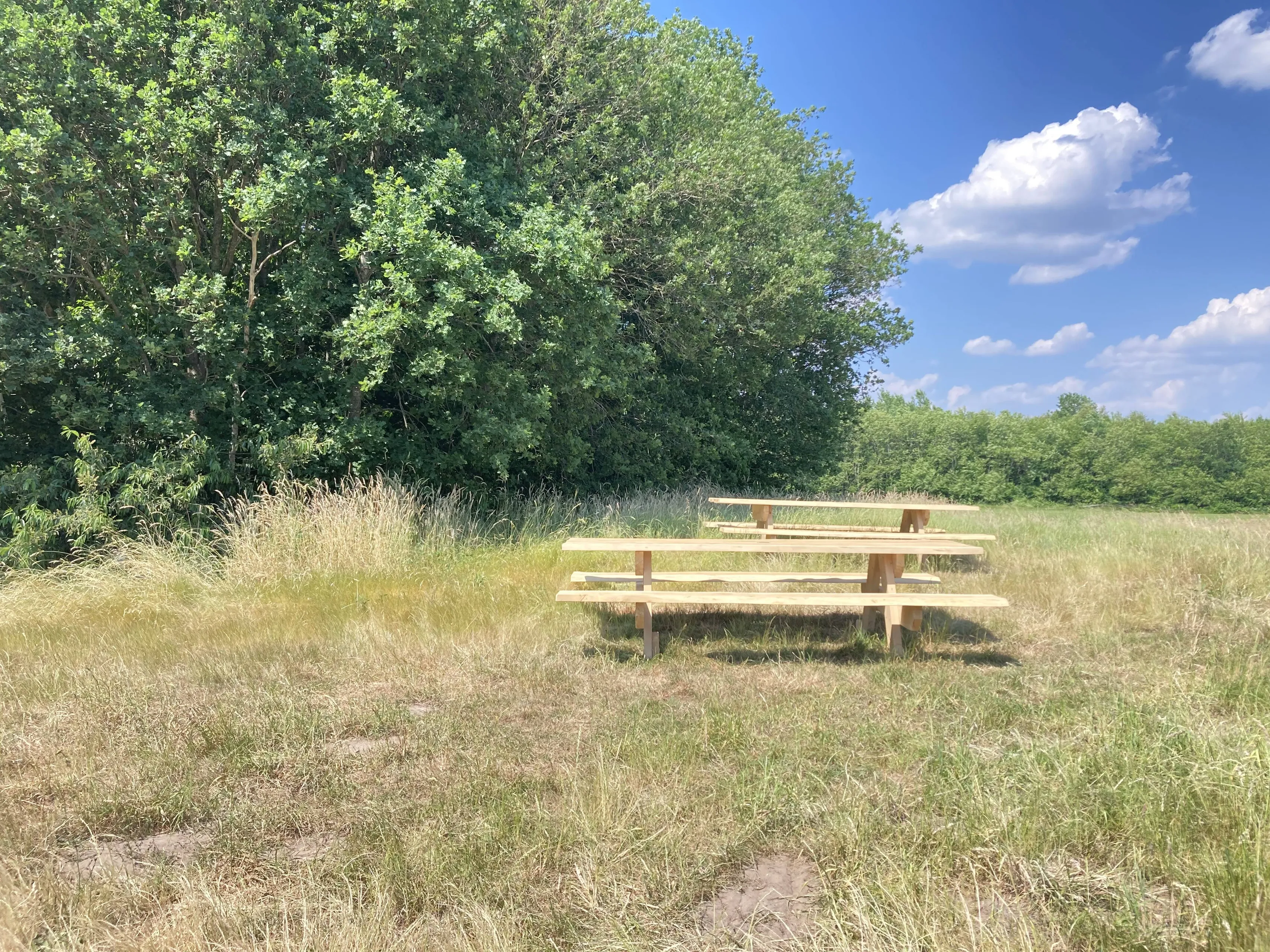 de wijk foto picknickbanken vtrb de wijk noordwieketpad