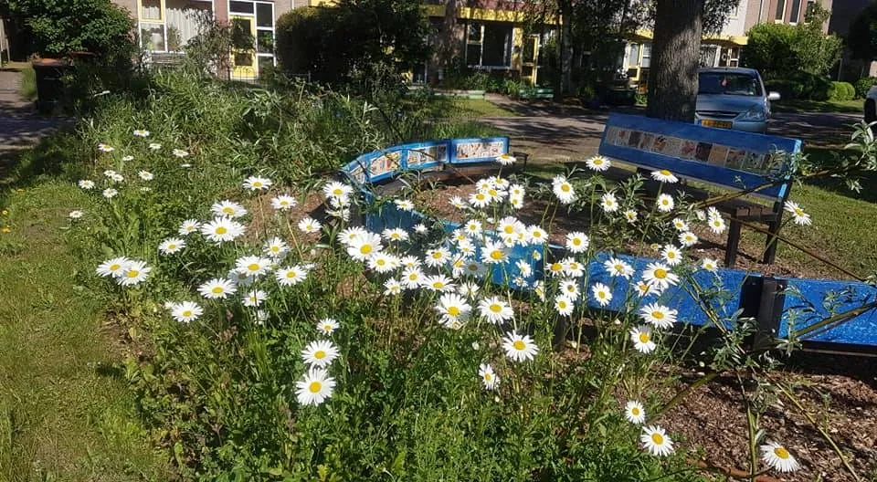 de wijk tuin margrieten kindertheater