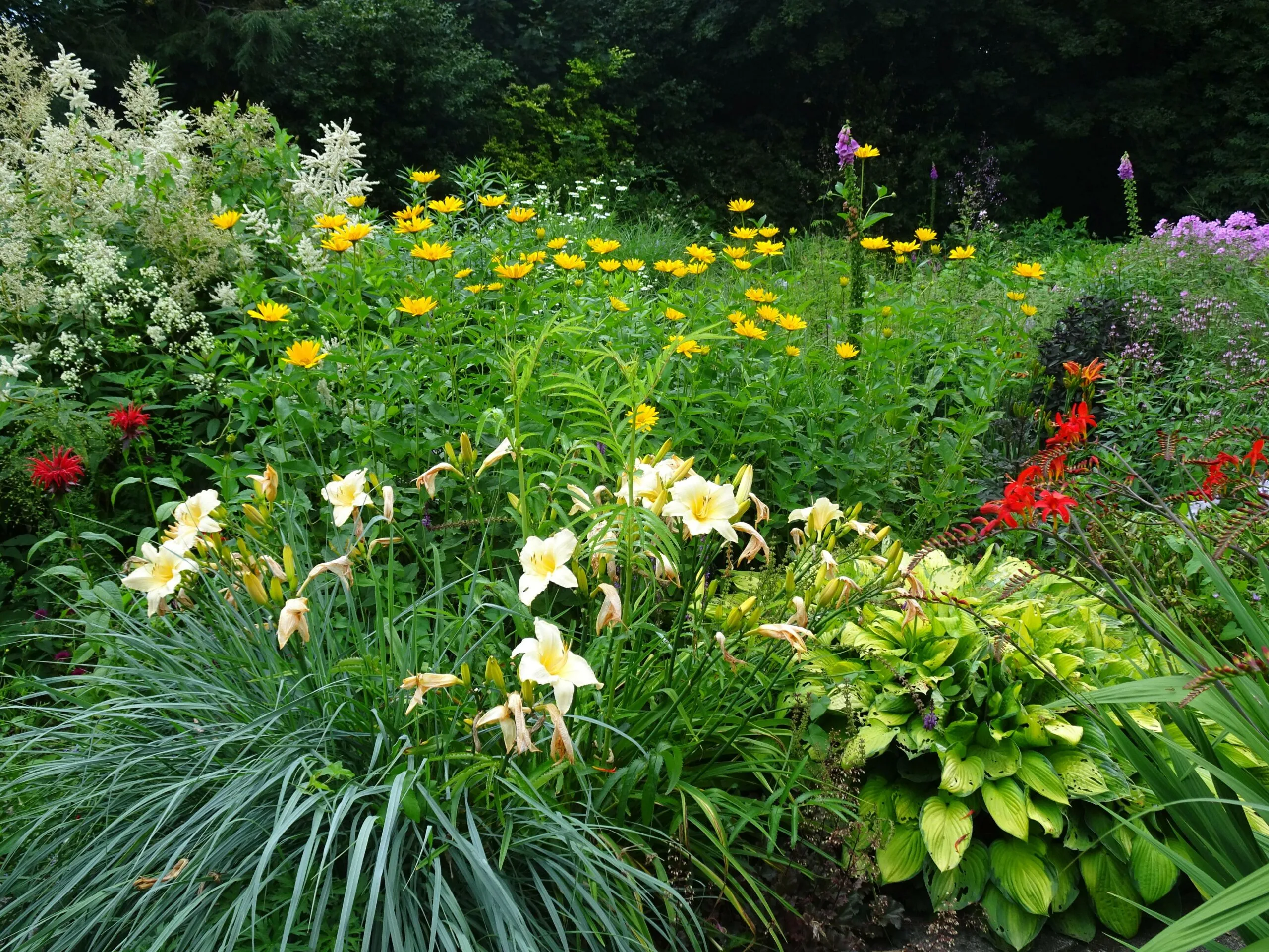 dedemsvaart tuinen mien ruys2 foto caroline hendriksen scaled