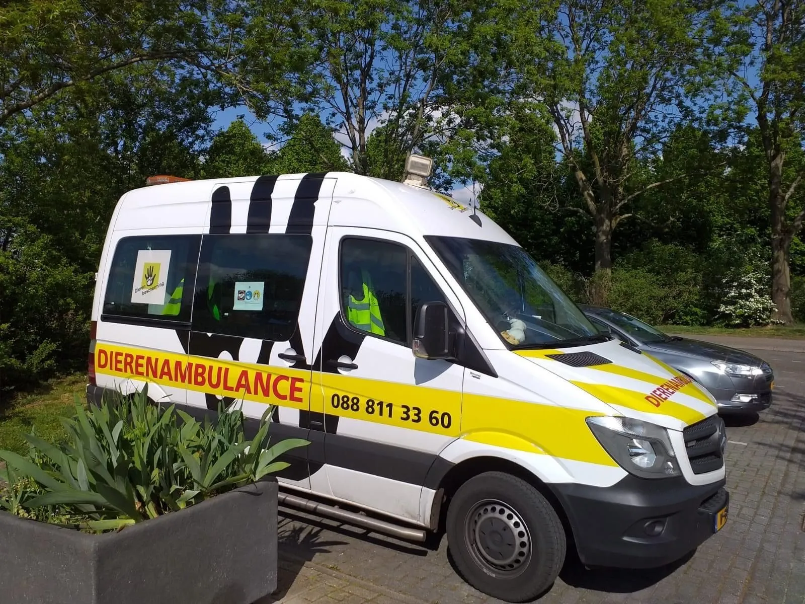 dierenambulance
