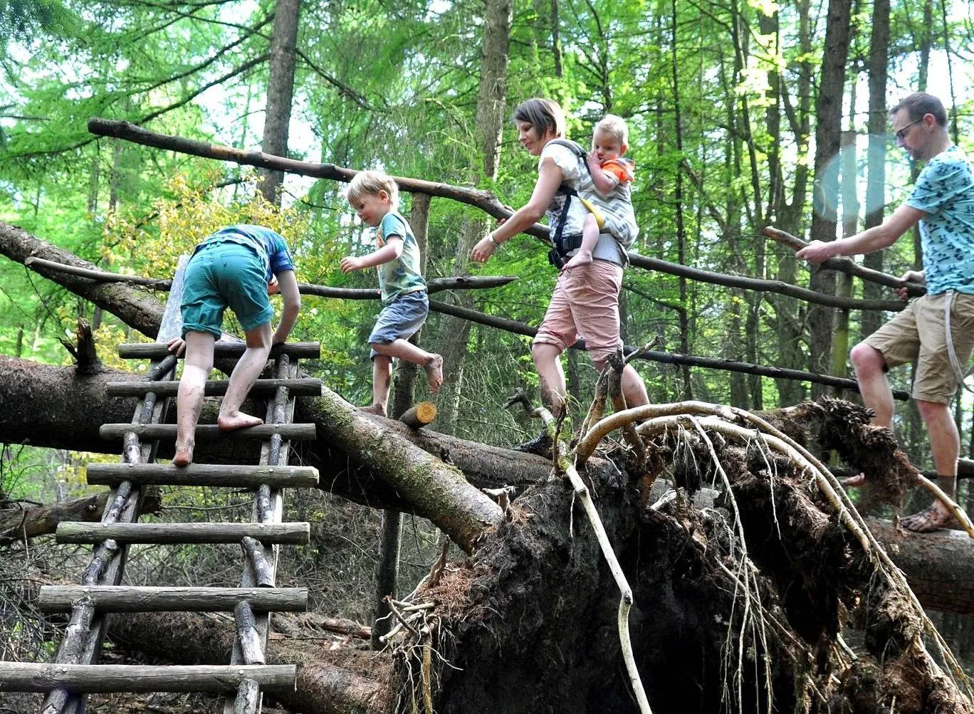 drfrwold blotevoetenpad2