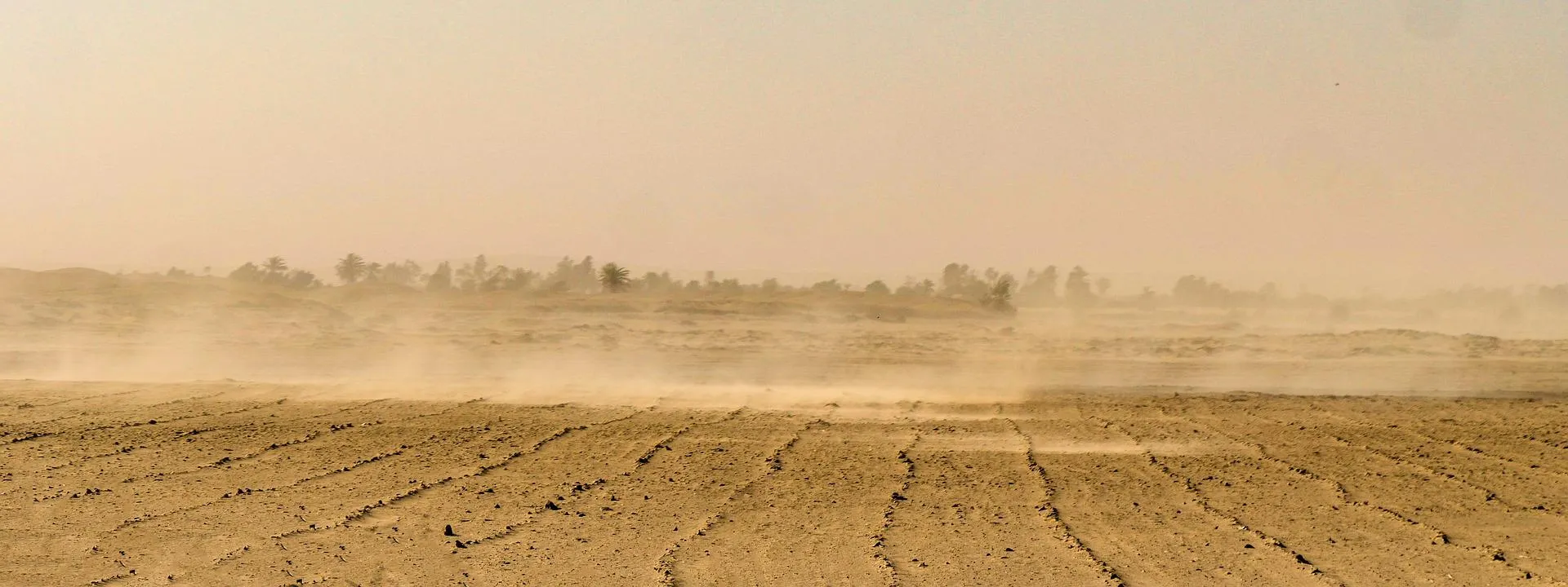 droogte pixabay sandstorm 3642893 1920