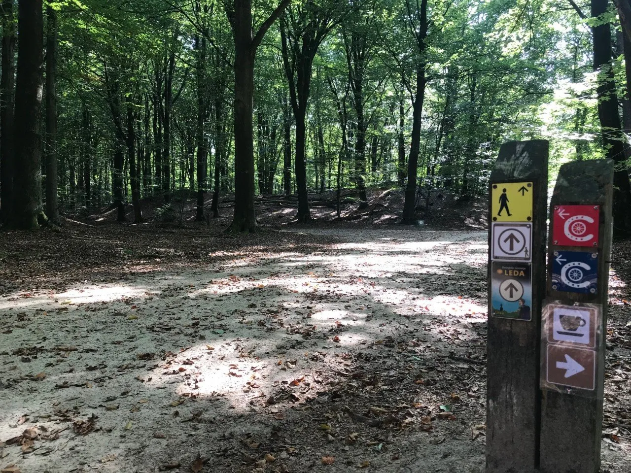 dwingeloo ommetje leda