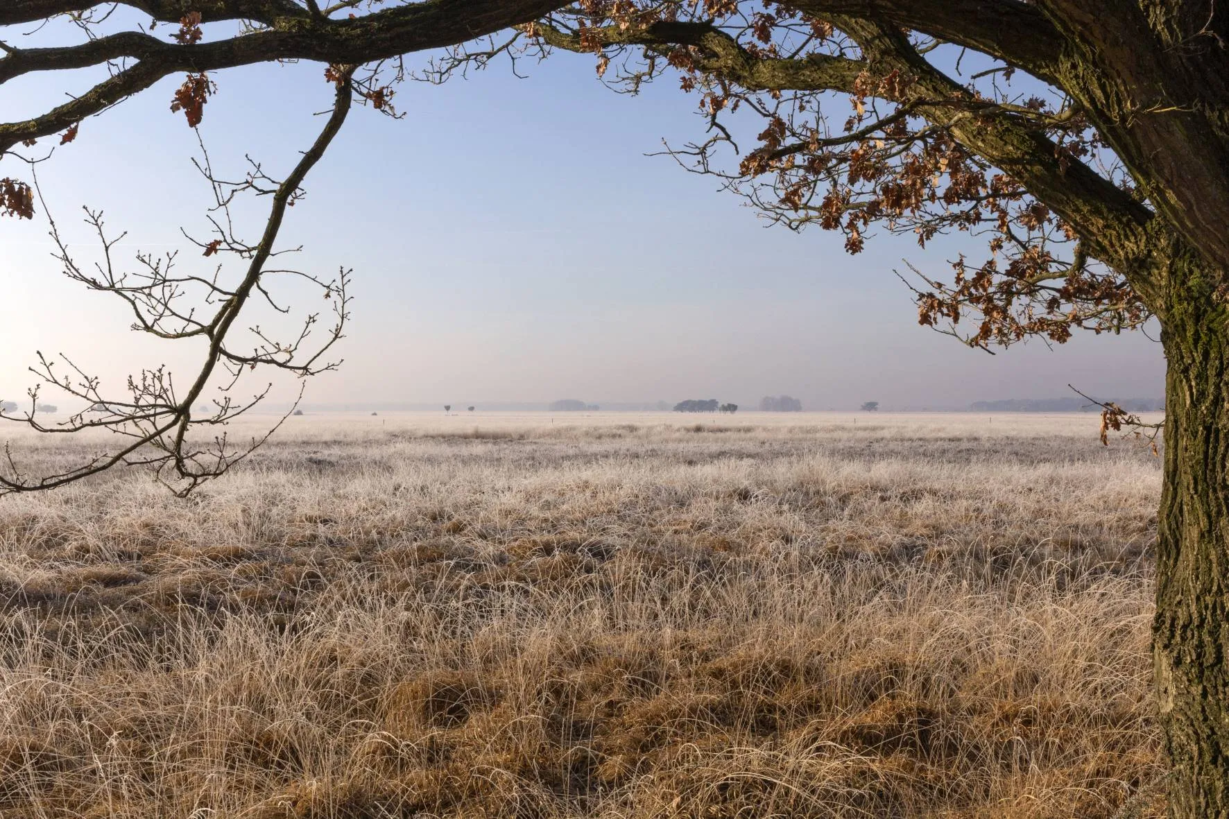 dwv lezing theo spek foto astrid havinga