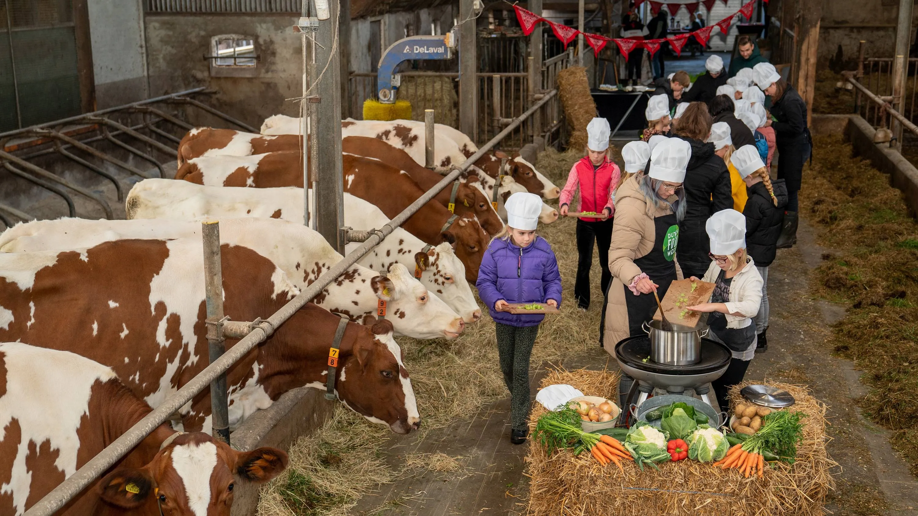 echten straathof boergondisch koken3