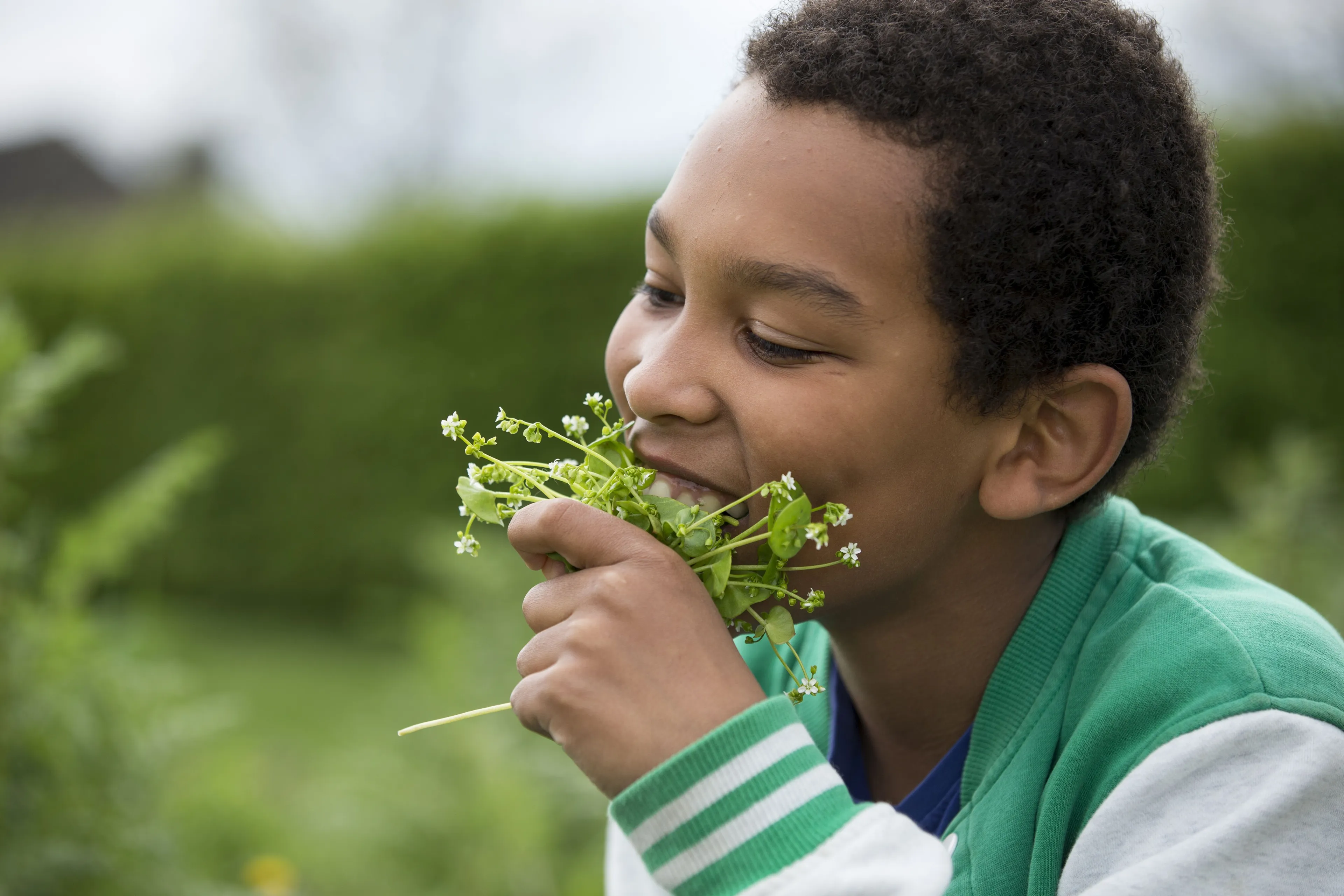 eetbare wilde bloemen pauline joosten