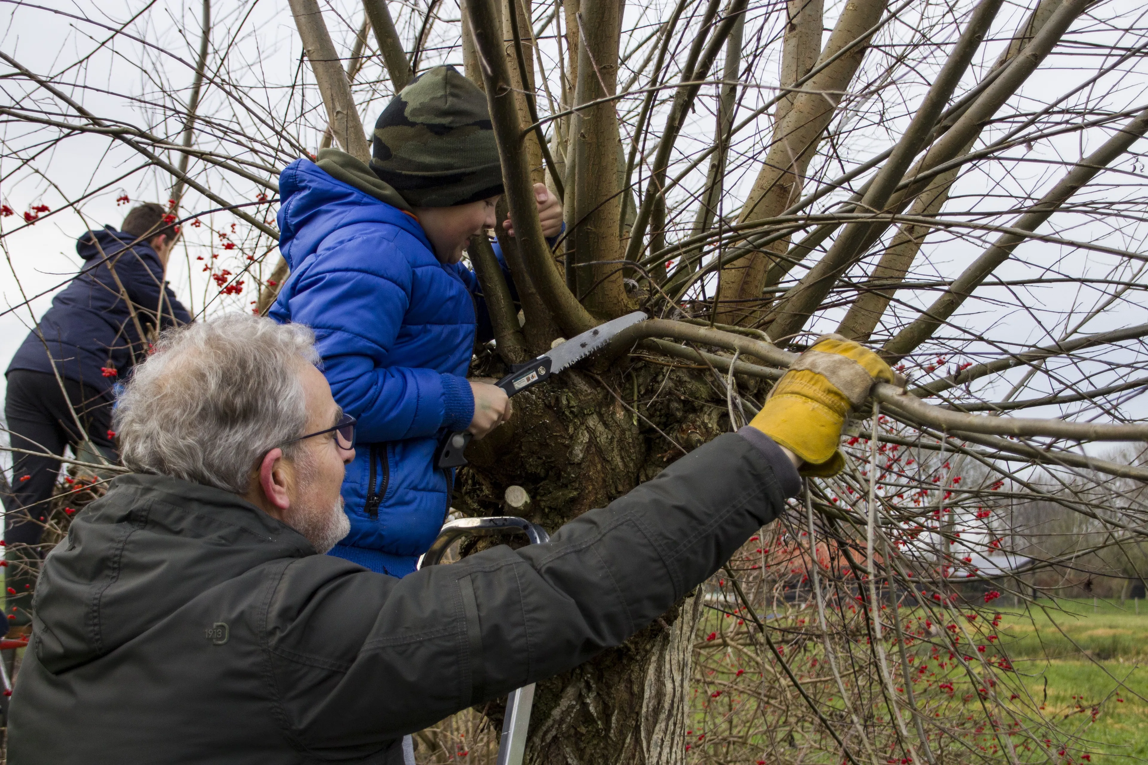foto wilgen knotten oerract gemaakt door berdien van drogen vrij bruikbaar