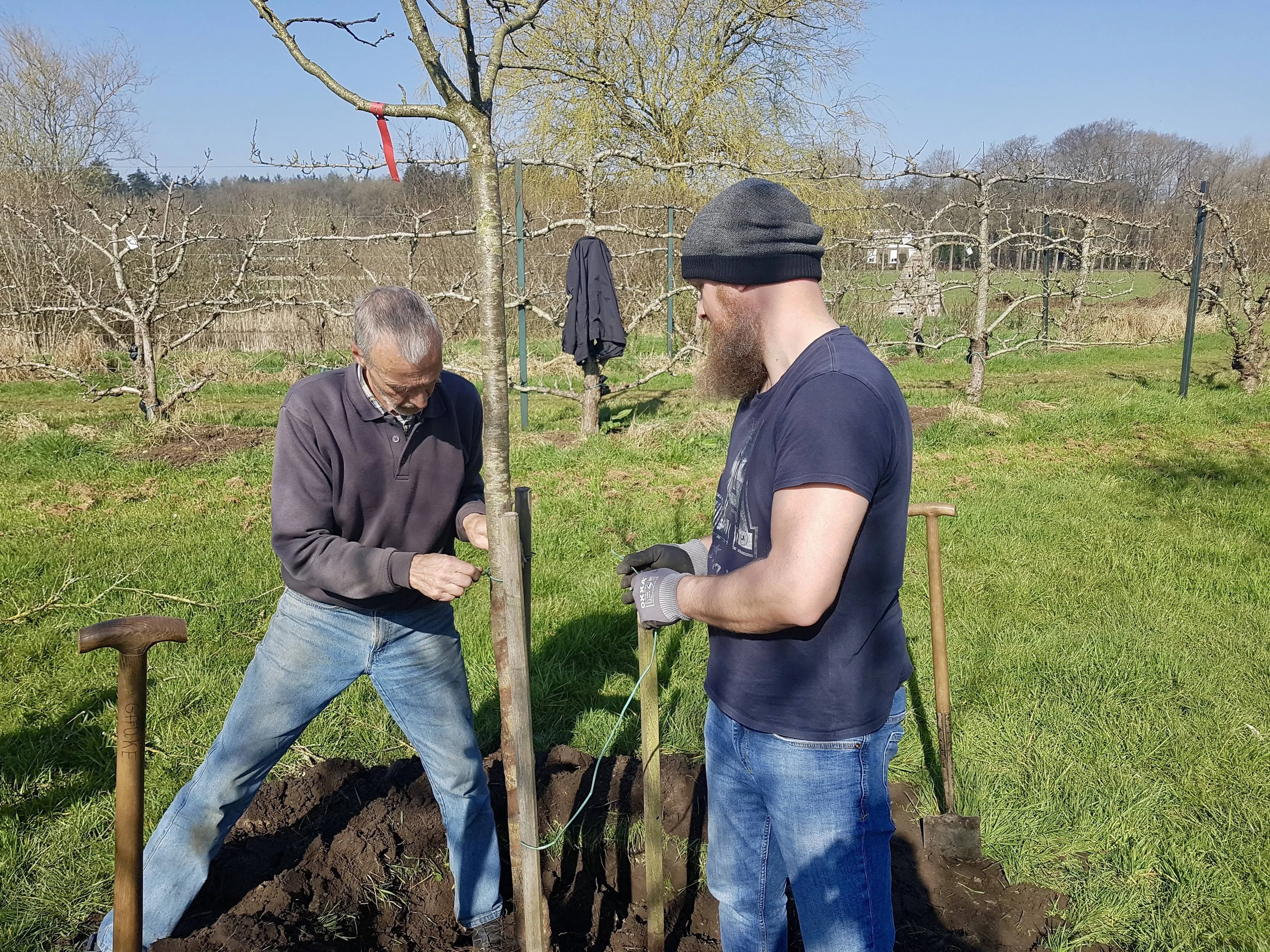 frederiksoord fruithof1