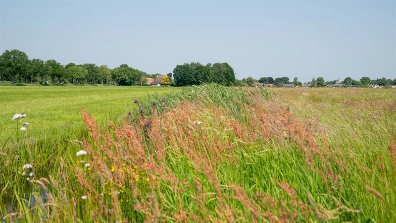 gczwdr boer flinkert 1 van 1